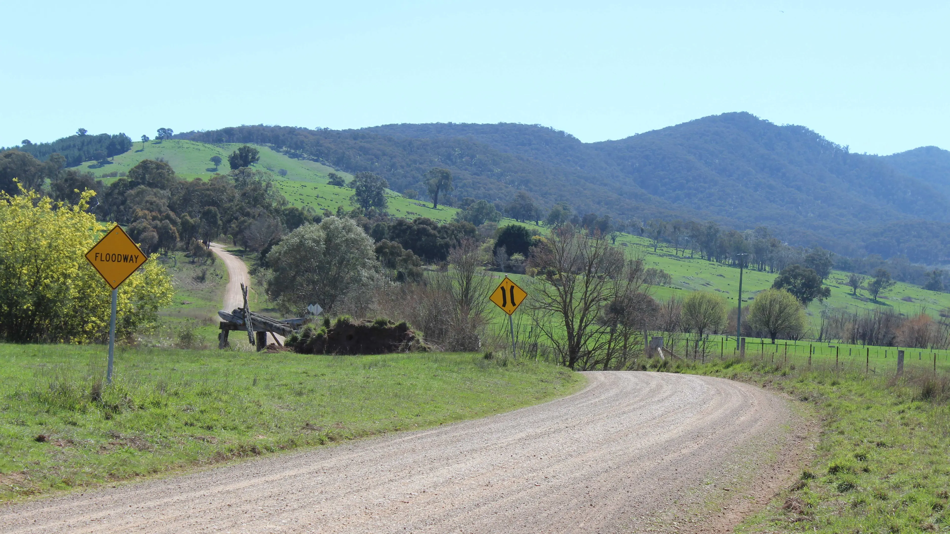 Stone cold controversy