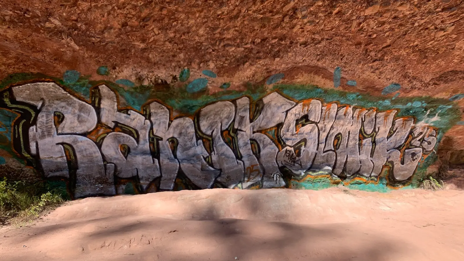 Alleged Paradise Falls vandal to admit graffiti, co-accused wanted on warrant