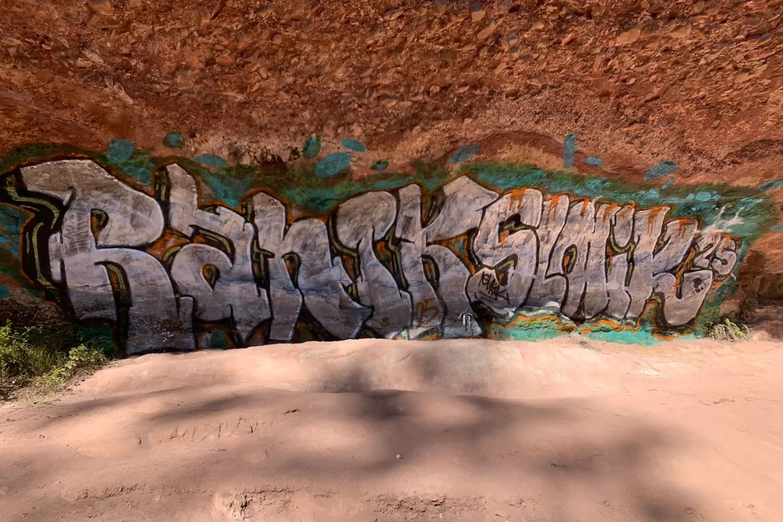 Alleged Paradise Falls vandal to admit graffiti, co-accused wanted on warrant