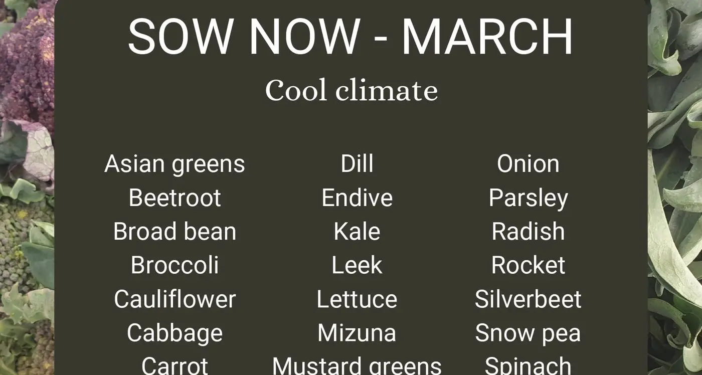 Vegetables to sow in March