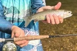 GEAR FOR TROUT FISHING: How fisherman on Lake Eildon can optimise their chances of hooking a prized trout. \\nPHOTO: Supplied