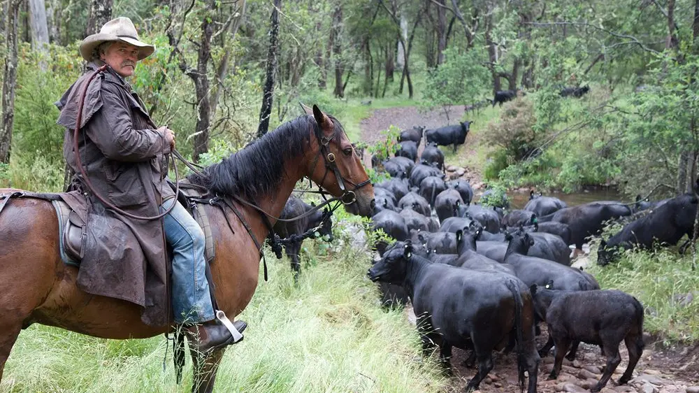 Supporting cattlemen in the High Country
