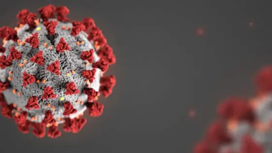 New COVID-19 case in Mansfield