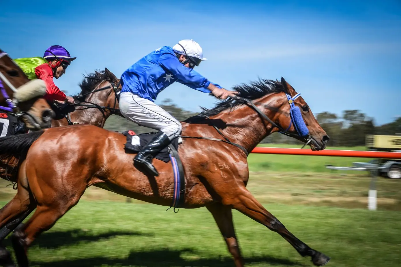 NOT OFF AND RACING:  It has been announced that following a directive from Country Racing Victoria, the Mansfield Cup Day races will not go ahead this year.