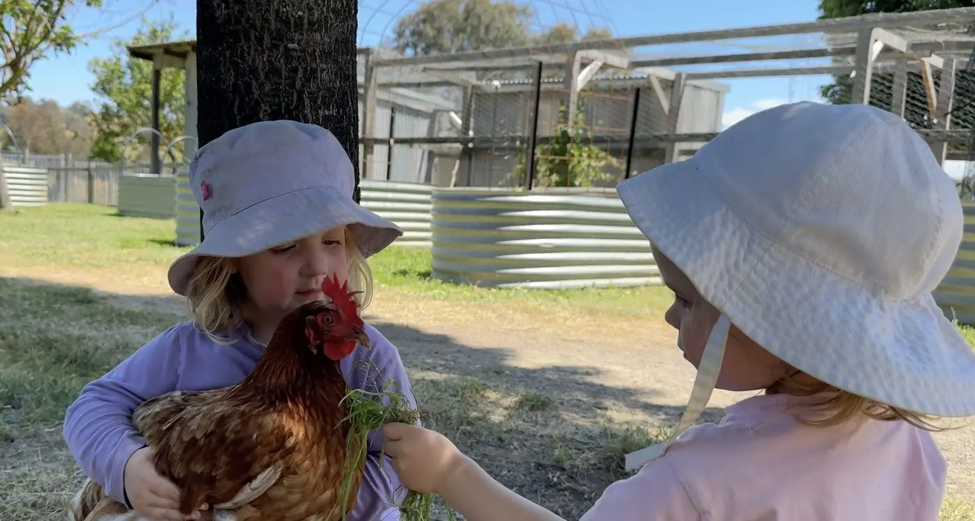 Animals benefit education