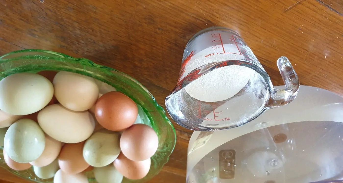 Preserving our spring eggs for winter
