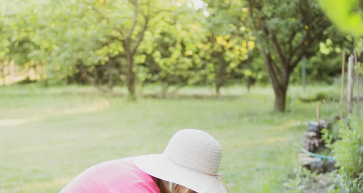 Five jobs to do in the garden this winter