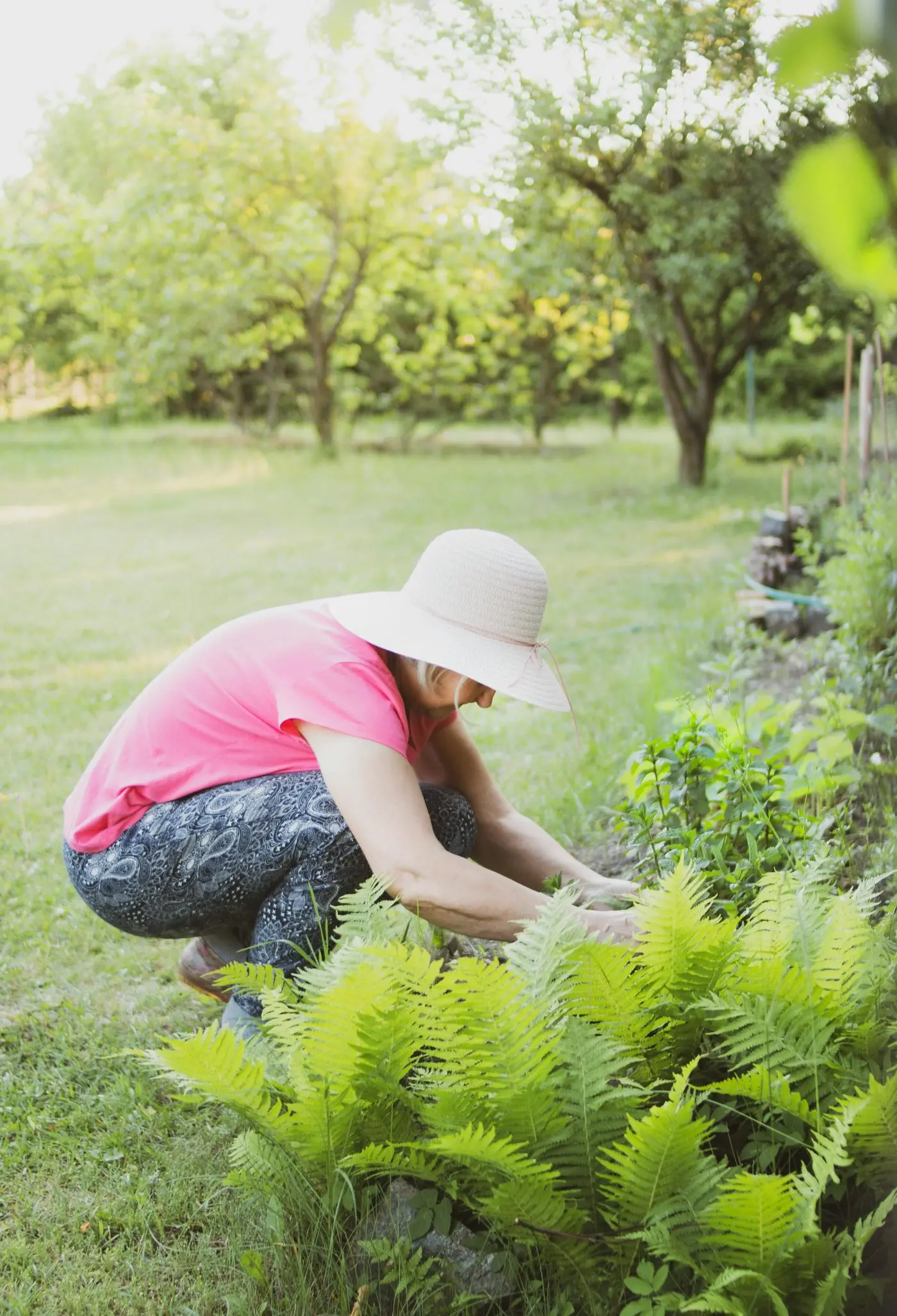 WINTER GARDENING: There are many jobs you can do out in the garden this winter.