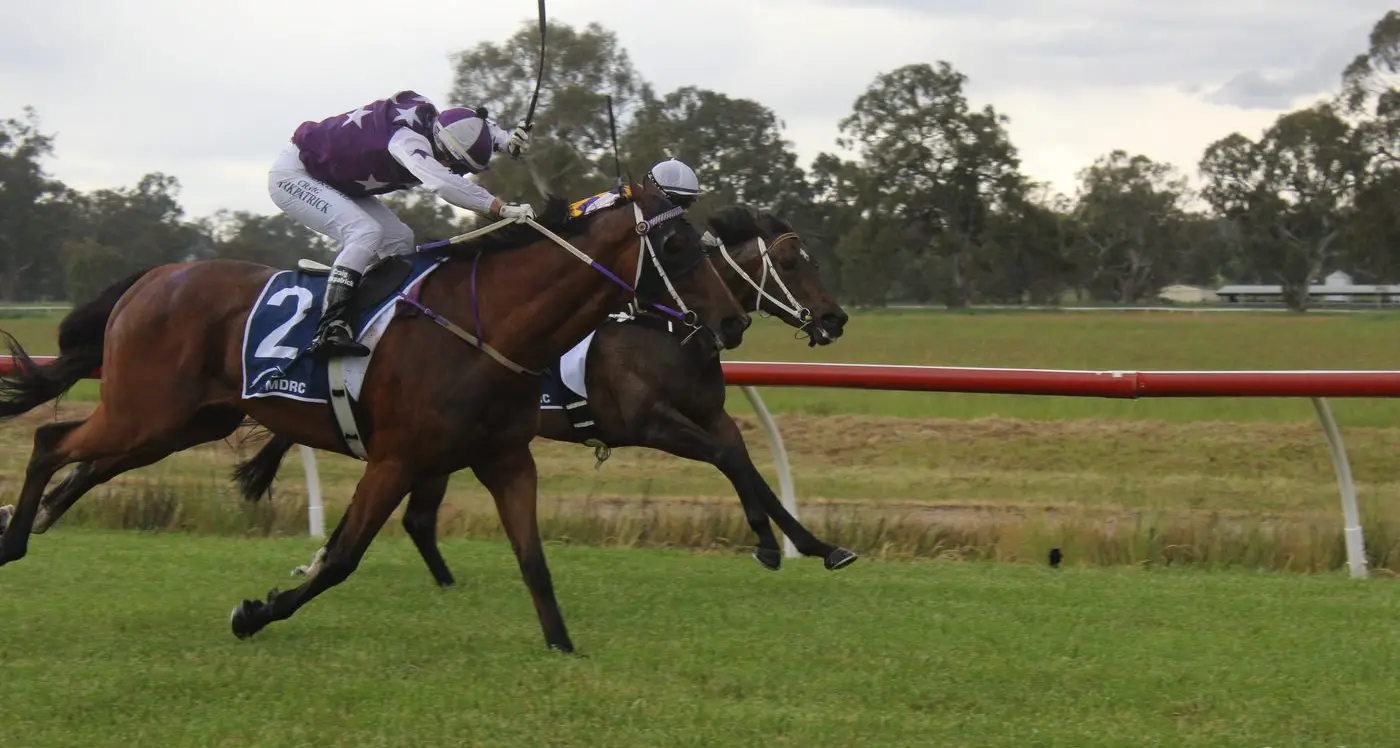 Thrills, fashions, family fun