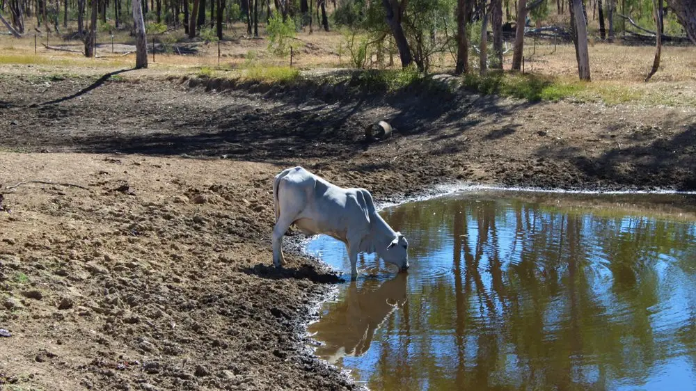More relief arrives for drought stricken farmers