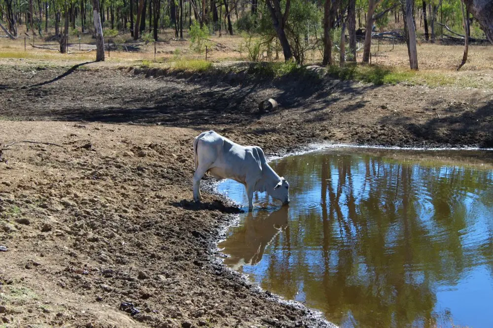 DRY: Some are describing the current drought as the worst in living memory.\\nPHOTO: golds imaging/Shutterstock.com