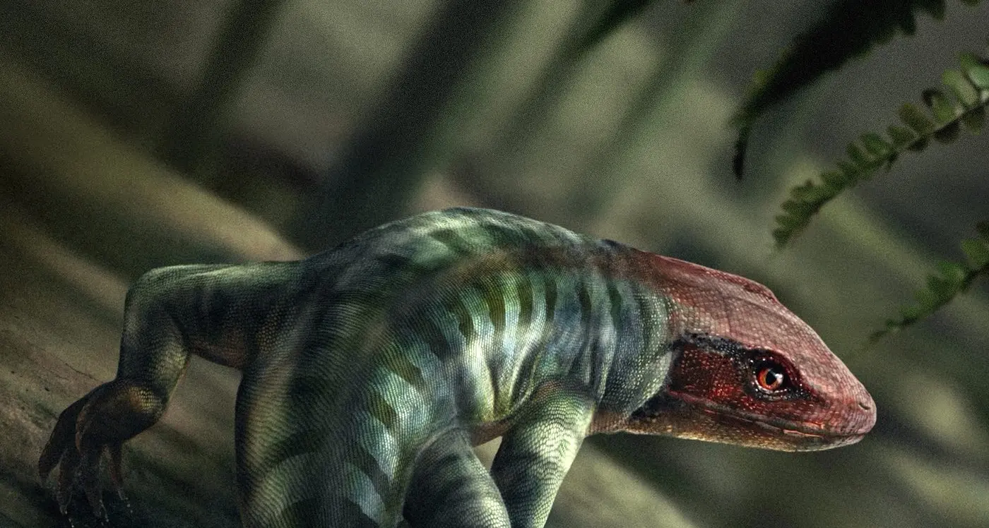 Footprints that redefine prehistory