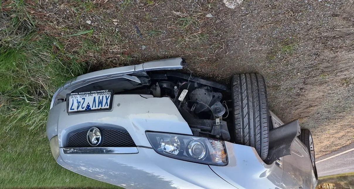 Wildlife warning for local roads