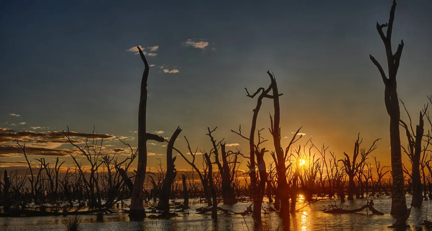 Winton Wetlands shock: staff redundant, everything stopped