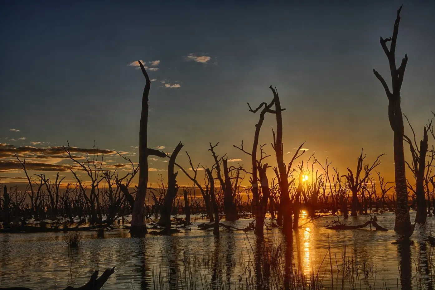 SUN SETS ON WETLANDS: After 15 years under the management of a committee, Winton Wetlands is in temporary limbo as a new land management structure into the future is sought. PHOTO: Rene Martens