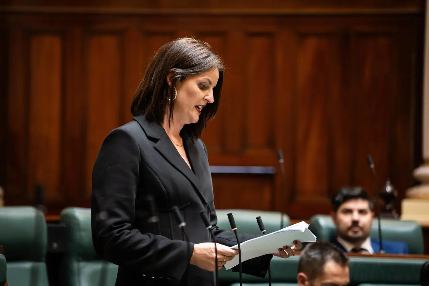 QUESTION TIME: The Nationals\\' Member for Euroa, Annabelle Cleeland has slammed state government VicGrid reforms.