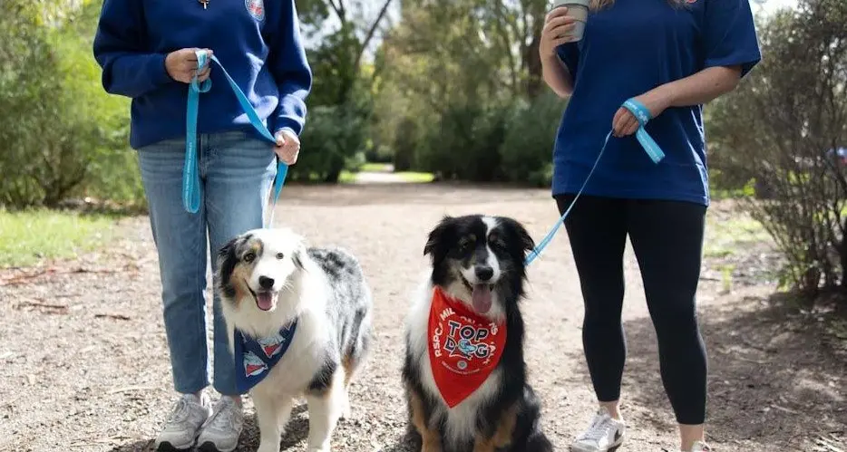 RSPCA Million Paws walk returns to Mansfield