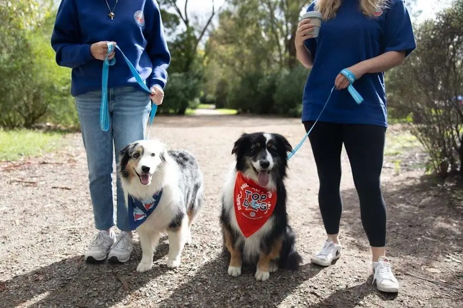 PAWS WALK: RSPCA is celebrating the 30th anniversary of the Million Paws Walk this year, with the local walk to be held on Sunday May 26 at the Mansfield Botanic Park.