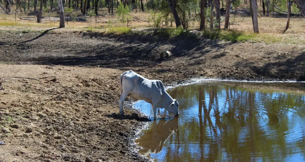 More relief arrives for drought stricken farmers