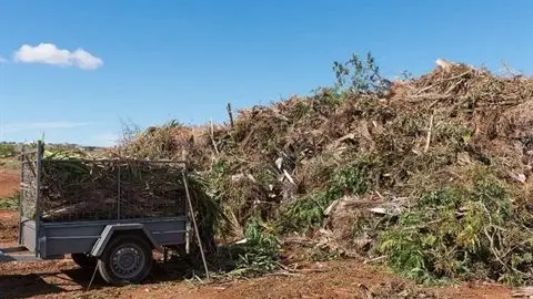 Free spring clean up initiative