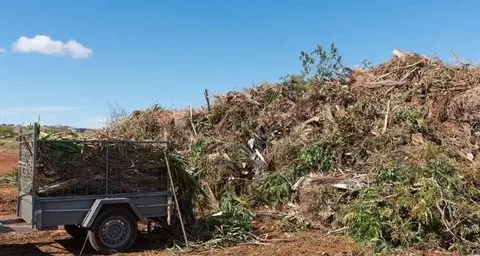 Free spring clean up initiative