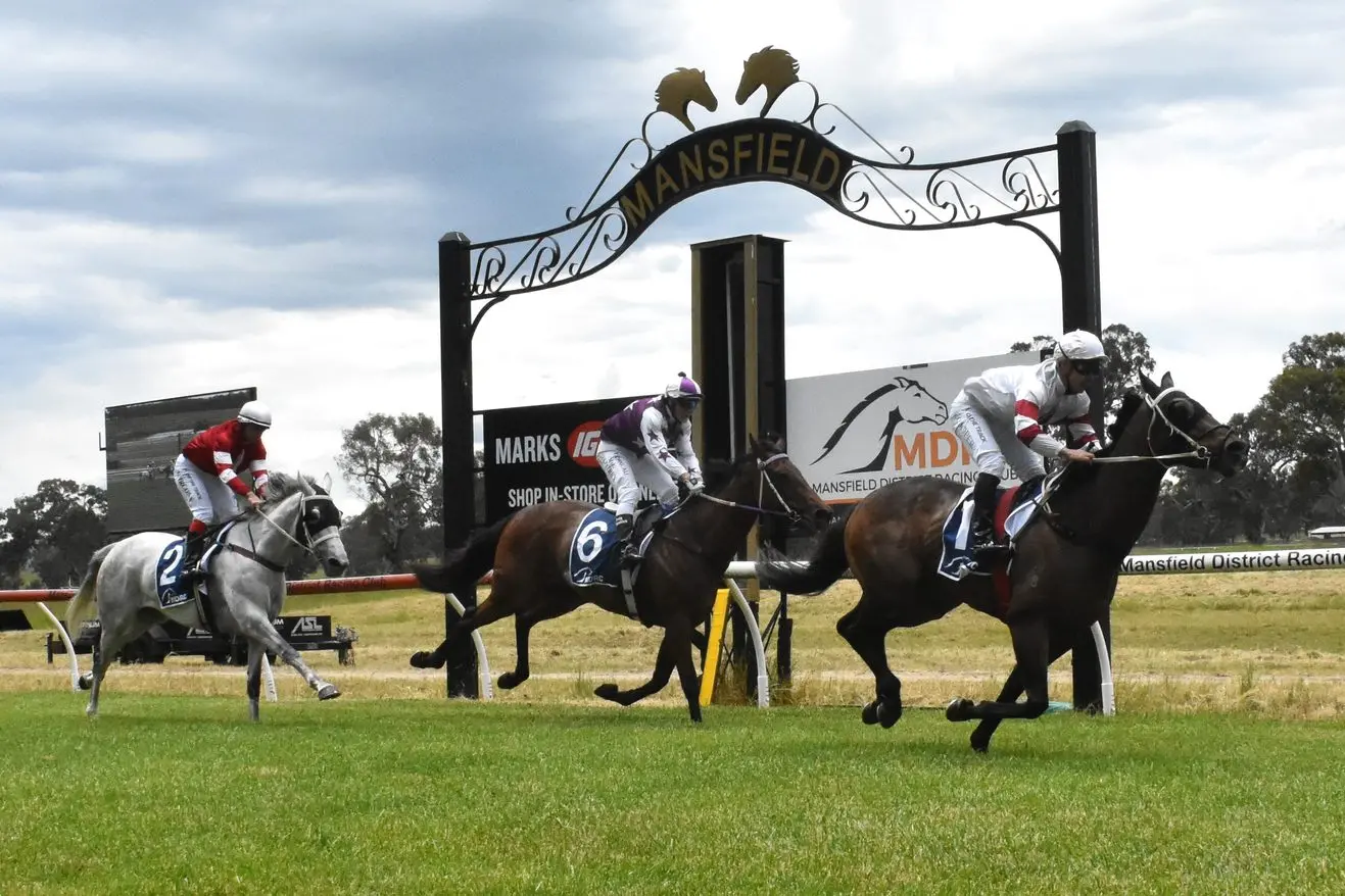 RACE DAY: Sunshine, style, and racing thrills are in store as Mansfield gears up for its Melbourne Cup Day Picnic Races.
