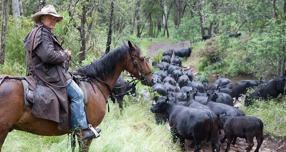 Supporting cattlemen in the High Country