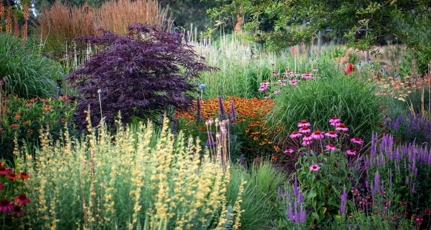 Spring rains encourage garden growth