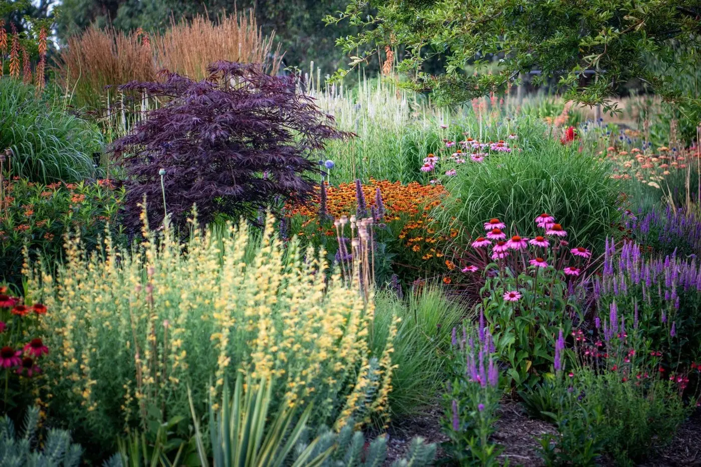 EXCEPTIONAL GROWTH: Heavy Spring rains this season have encouraged strong growth for landscape designer Ralph Bristow of Barwite. Id:34030