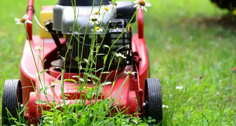 Council approves over 550 households to travel here for property maintenance