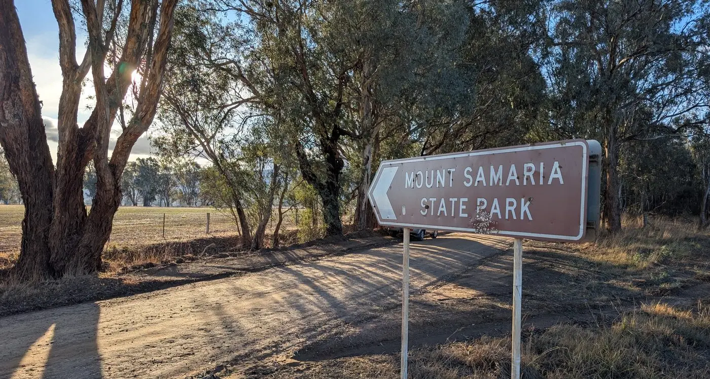 Wild dog lunges at hunter at Mount Samaria