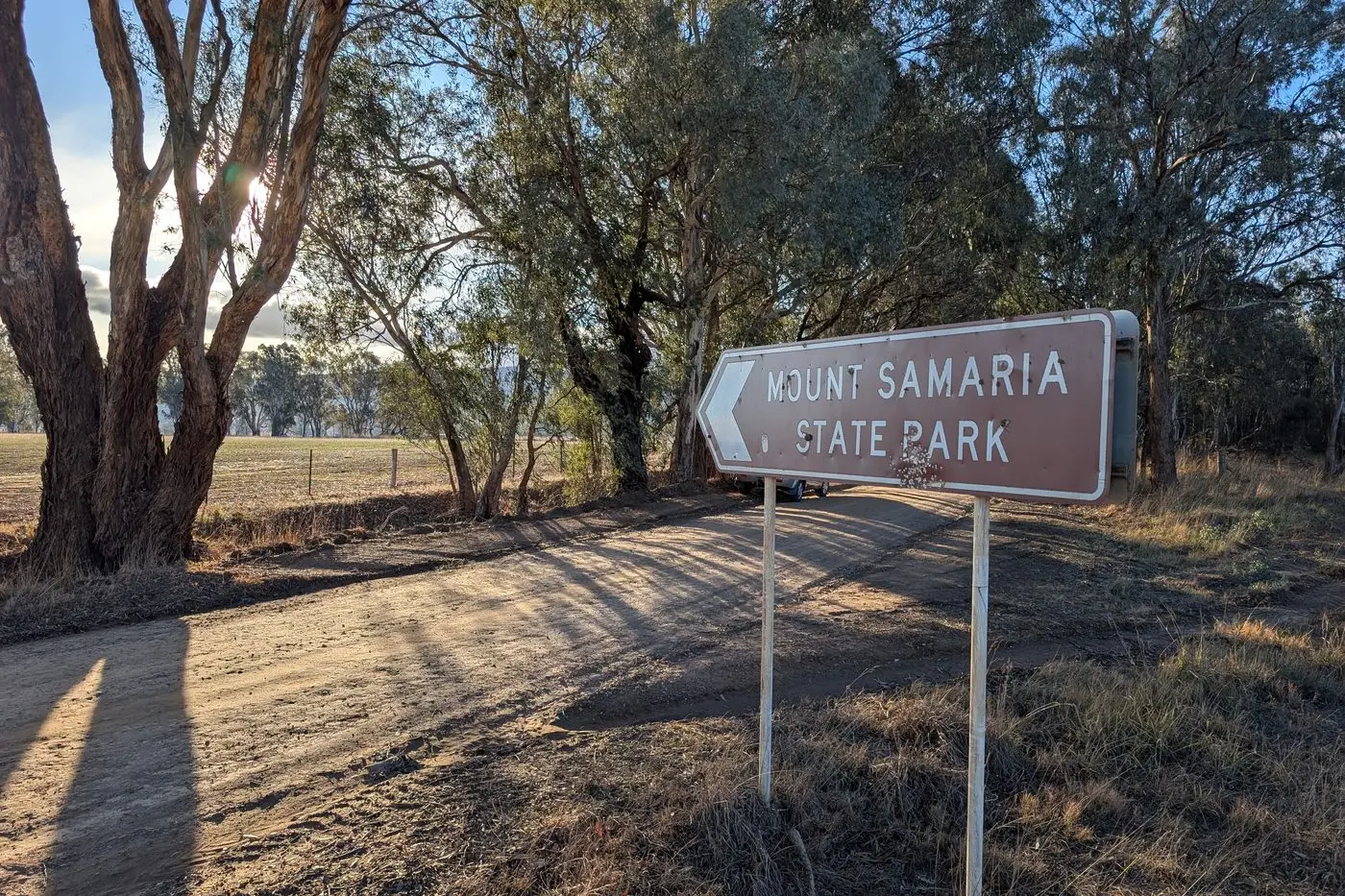 BUSH ENCOUNTER: A local hunter has shared his close call with a wild dog in Mount Samaria State Park, highlighting growing concerns about wild dog activity in the region.