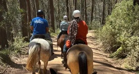 Love is in the air: a surprise High Country wedding