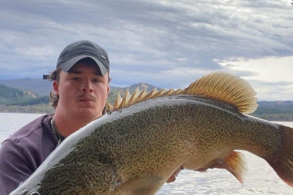 Epic quest: conquering Lake Eildon's monster cod