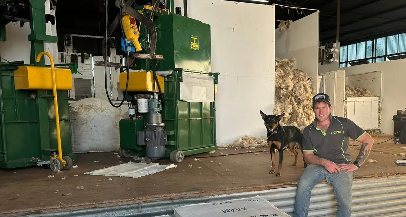 Seasoned paw-fessionals battle it out for title of ‘Australia’s hardest working dog’
