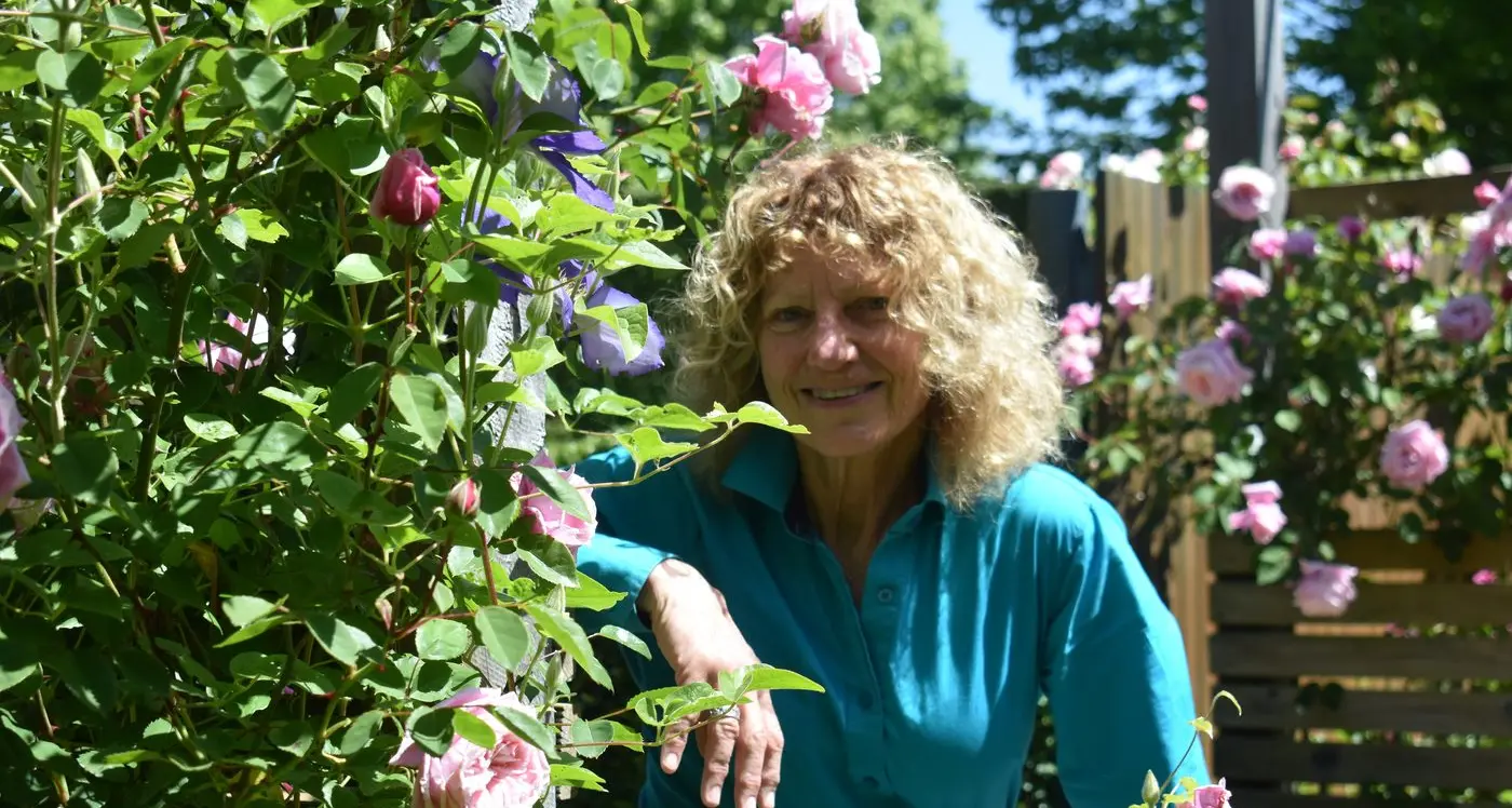 Around the world and back again