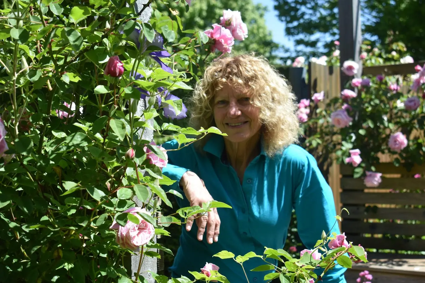 NEW LIFE: Nicky Goudberg has found peace and contentment, for now, in her High Country Garden, Gallery & Maze settings at Gough\\'s Bay. PHOTO: Pam Zierk-Mahoney