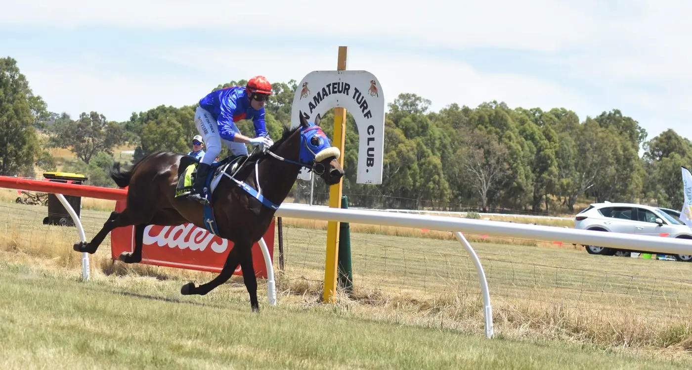 They came, they raced, they won