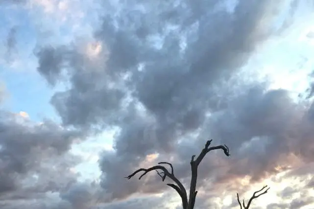 A SIMPLE SCENE: This pic by Jess Andrews shows what you can do with your phone to take an evocative photo.