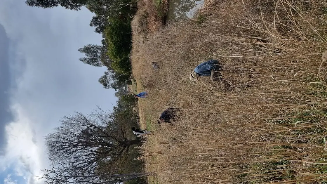 Revitalising Fords Creek – one volunteer session at a time