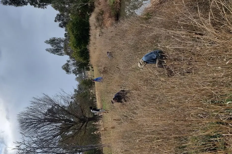 ON THE BANKS OF THE FORD: Five volunteers spent the morning of June 23 taking part in a Landcare-led initiative caring for Fords Creek.
