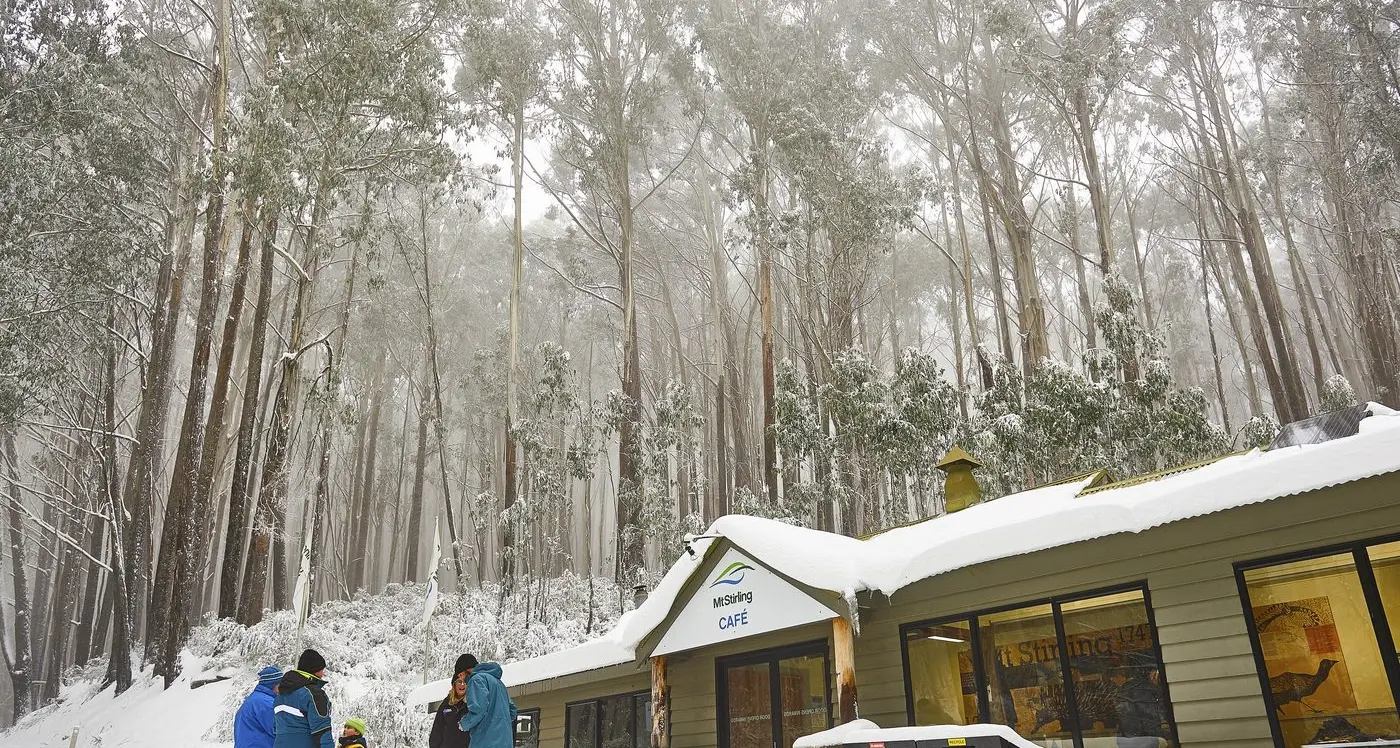 New committees appointed for Buller and Stirling