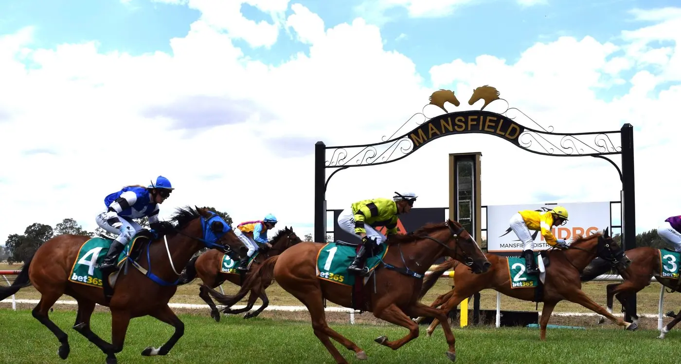 Picnic racing returns