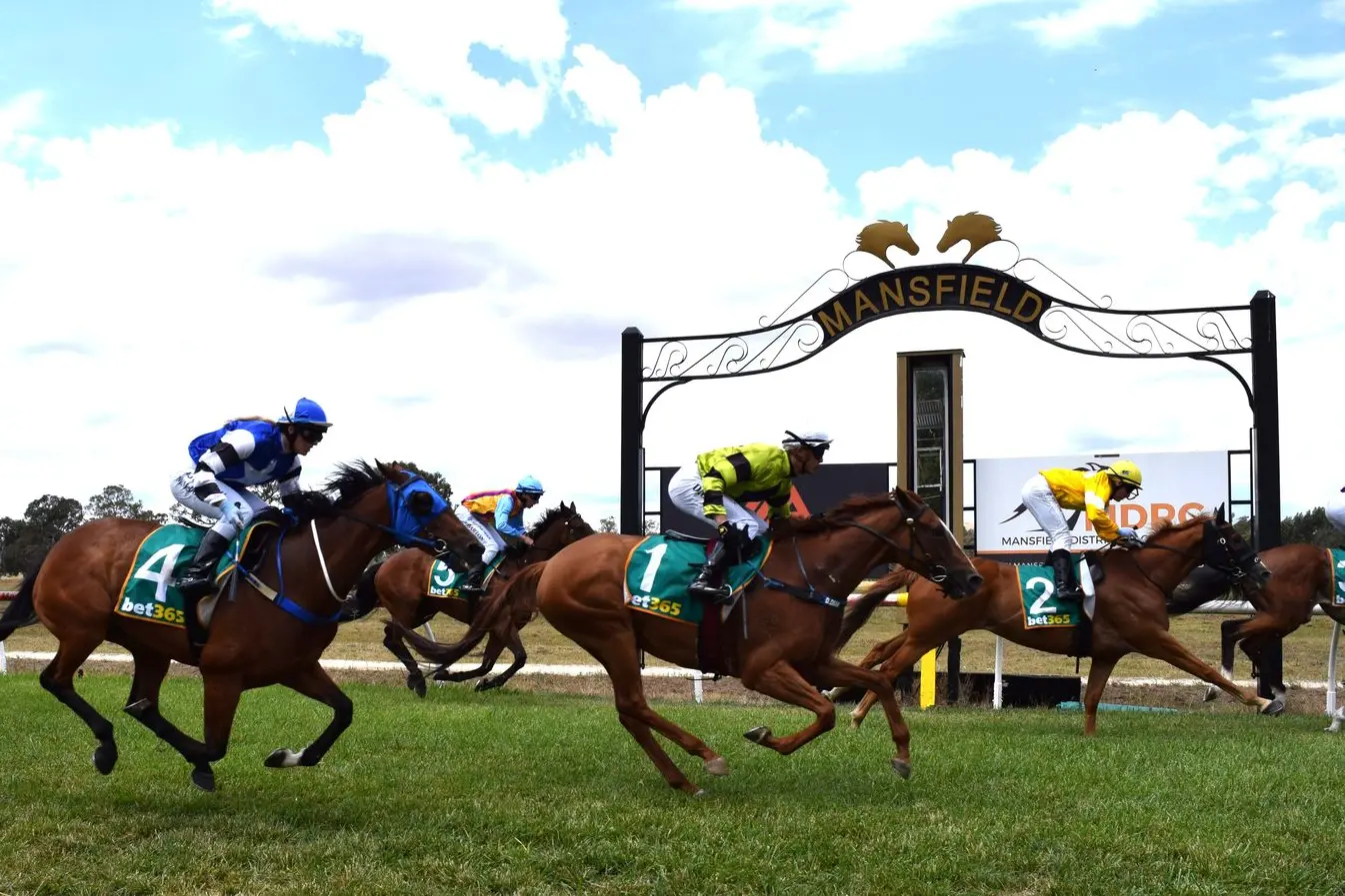 Picnic racing returns