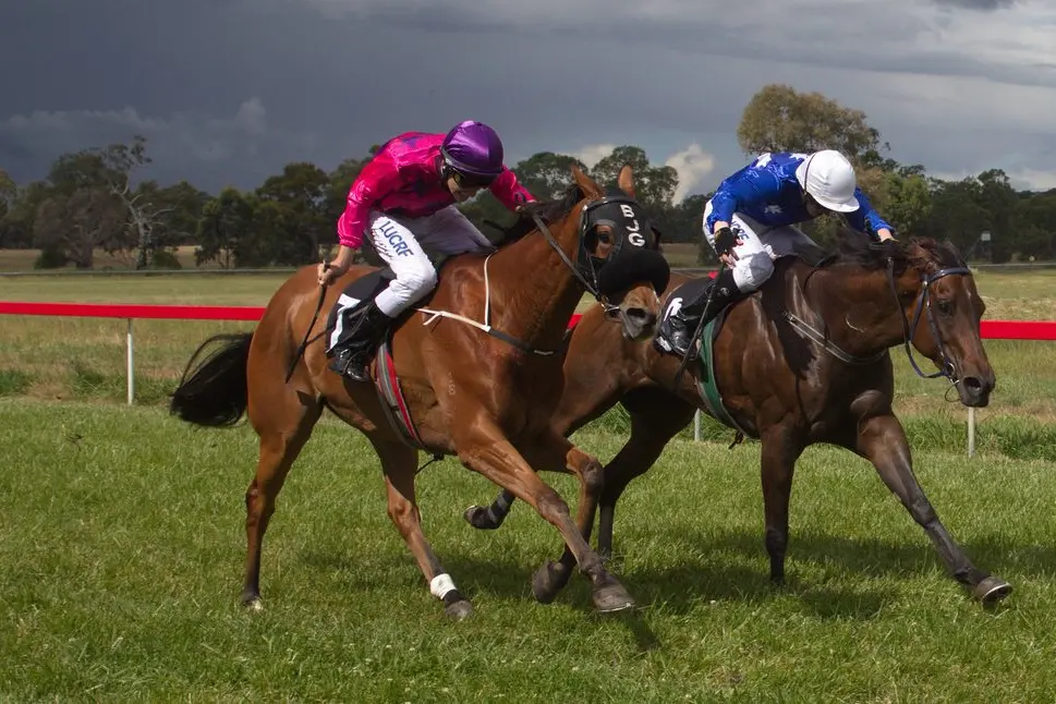 CANCELLED: Mansfield\\'s Cup Day Picnic Races, one of the biggest and most anticipated events on the High Country sporting calendar, was cancelled late last week due to the persistent rainfall and soaking conditions. Id:32893