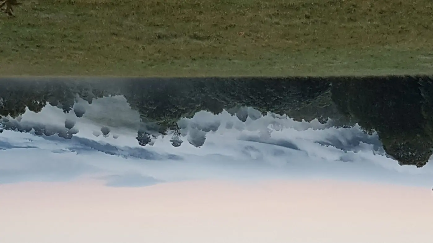 From city job to Homestead slog: the leap that changed my life