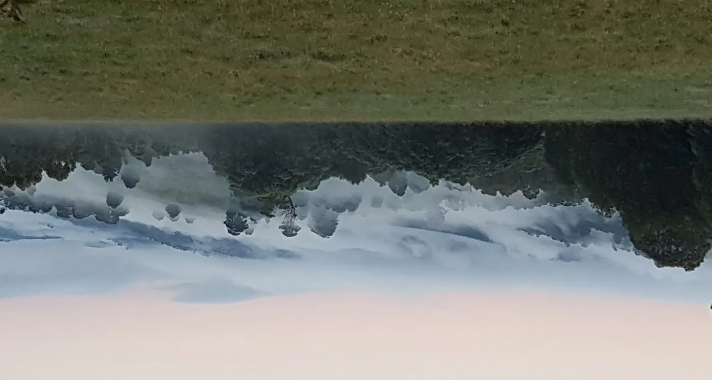 From city job to Homestead slog: the leap that changed my life