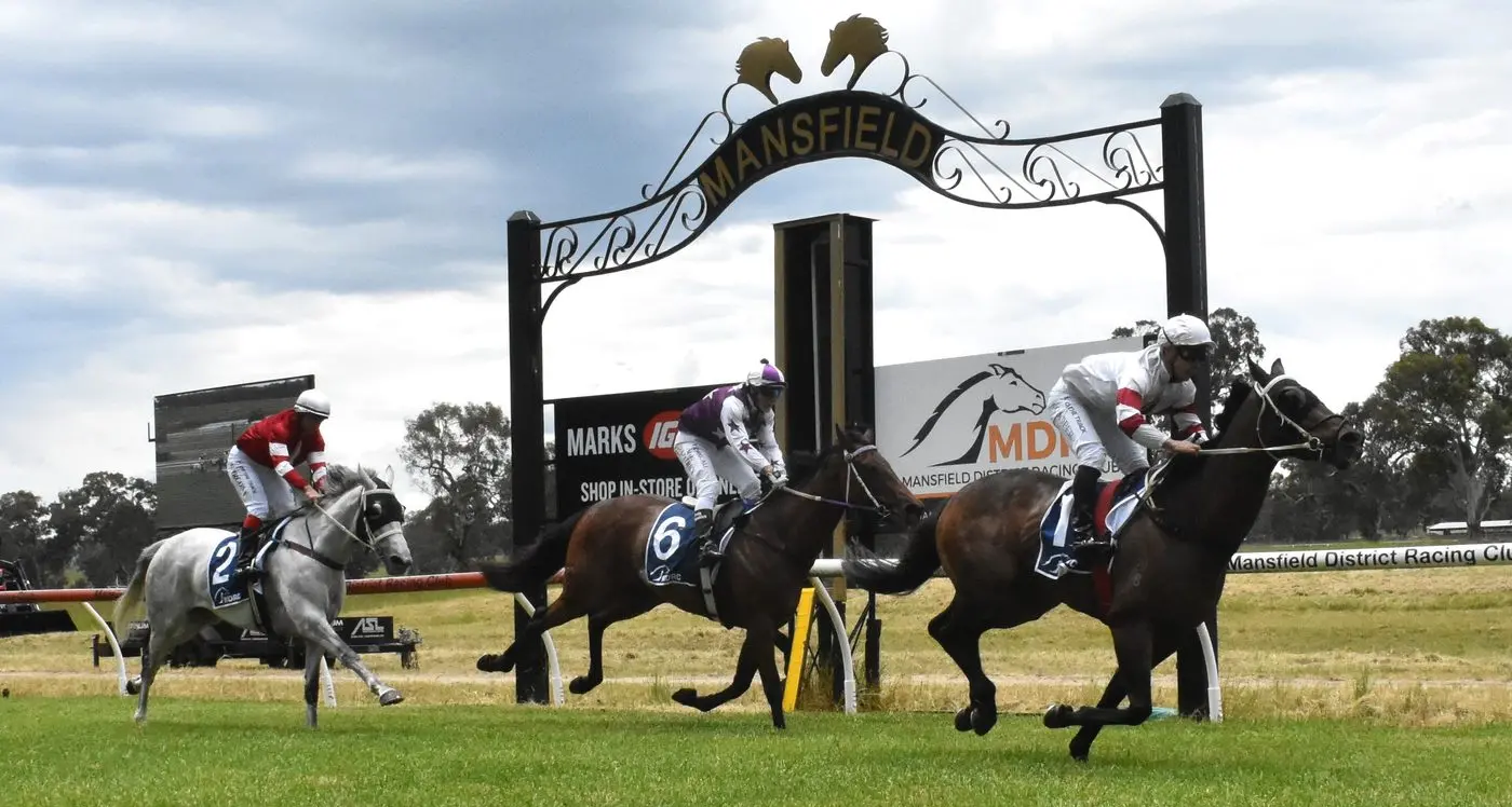 Family Fun at the Mansfield Picnic Races