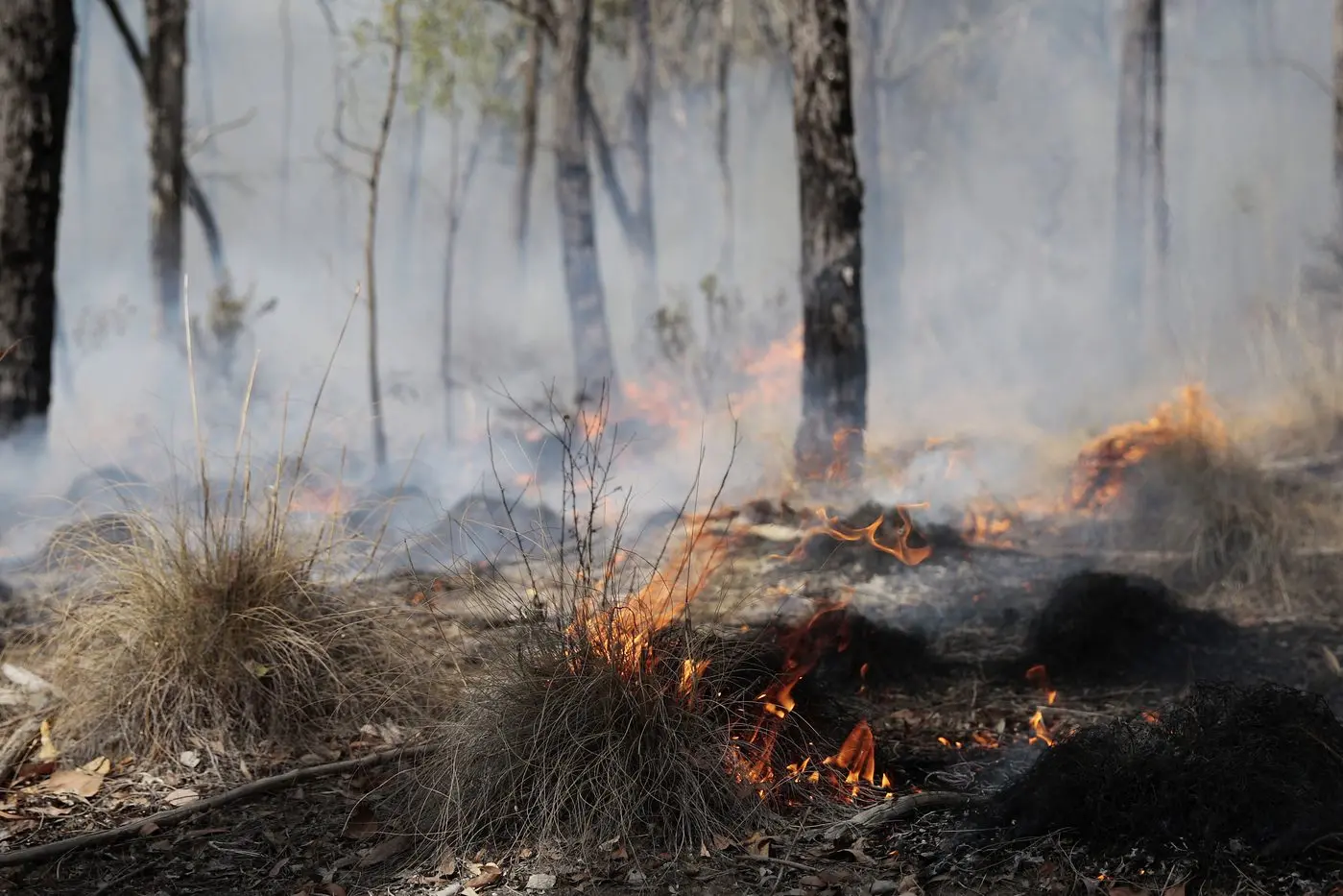 AT RISK: A recent CFA survey revealed 45 per cent of Victorians living in bushfire-prone areas are not concerned about bushfire safety, despite being at increased risk.