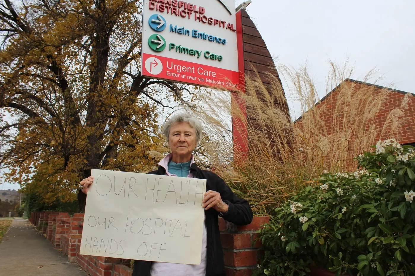 PEOPLE POWER: Sarah Stegley AM took to the streets in protest of the proposed amalgamations.